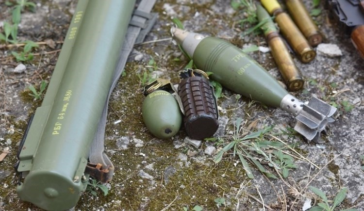 Renovirajući kuću pronašao zolju Renovirajući kuću pronašao zolju