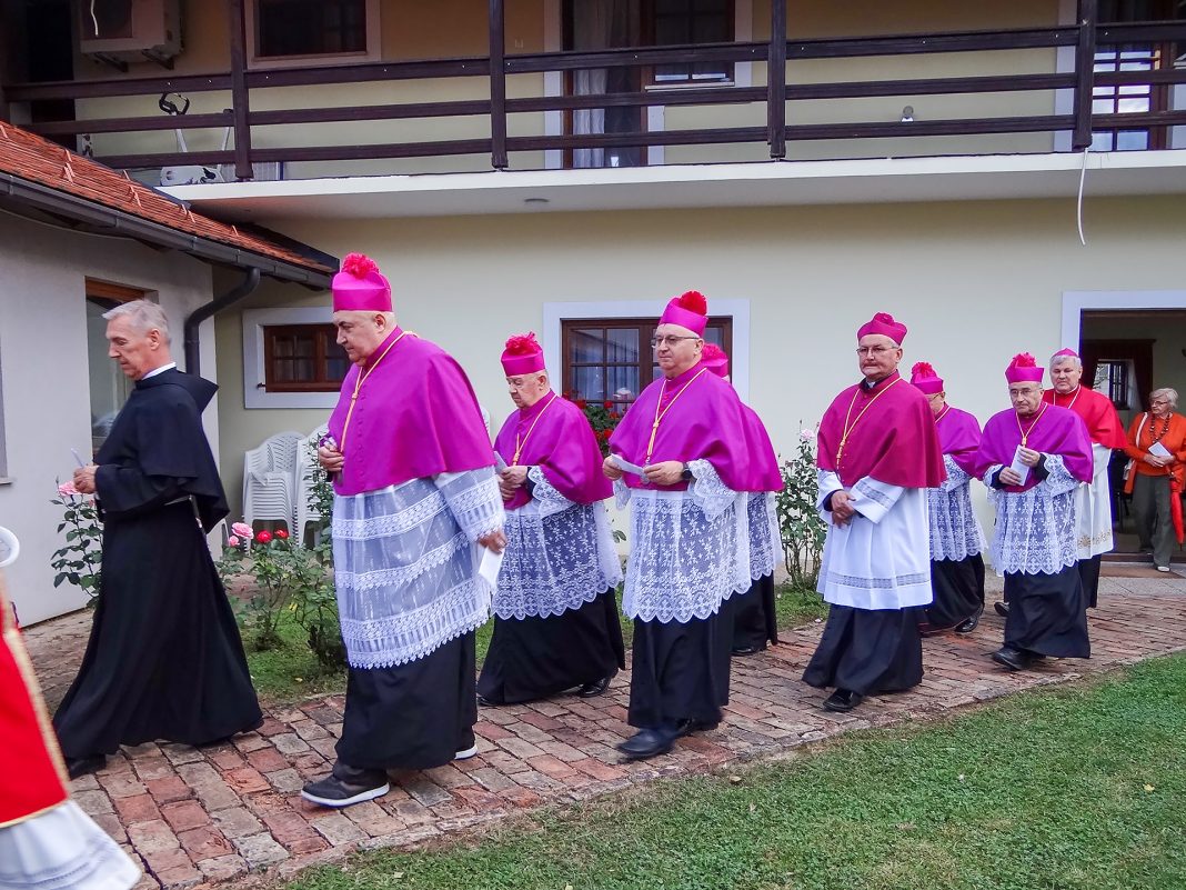 Proslavljeno Križevo u Sisku Proslavljeno Križevo u Sisku