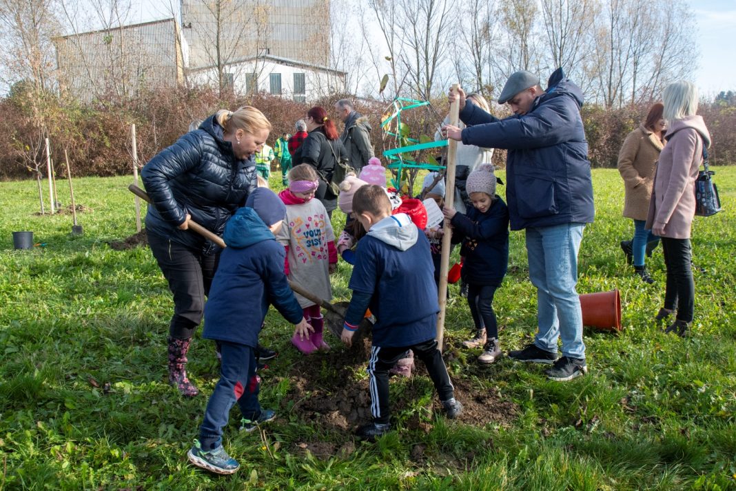 Akcijom Volim Sisak s 10 voćki proširen urbani voćnjak na Ciglarskoj grabi Akcijom Volim Sisak s 10 voćki proširen urbani voćnjak na Ciglarskoj grabi