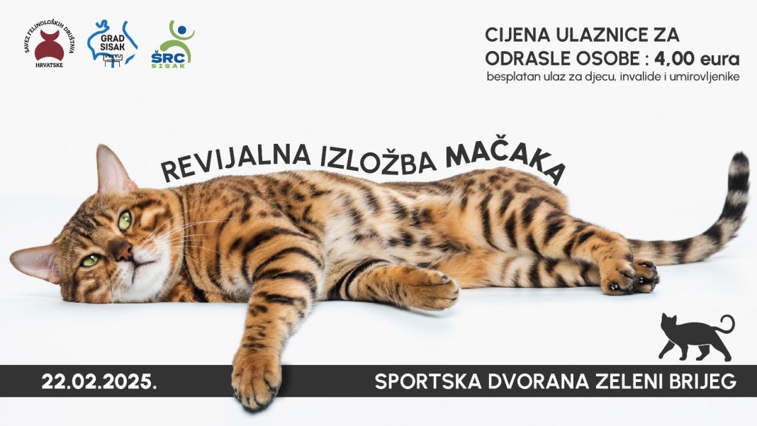 Ove subote u Sisku velika izložba mačaka Ove subote u Sisku velika izložba mačaka