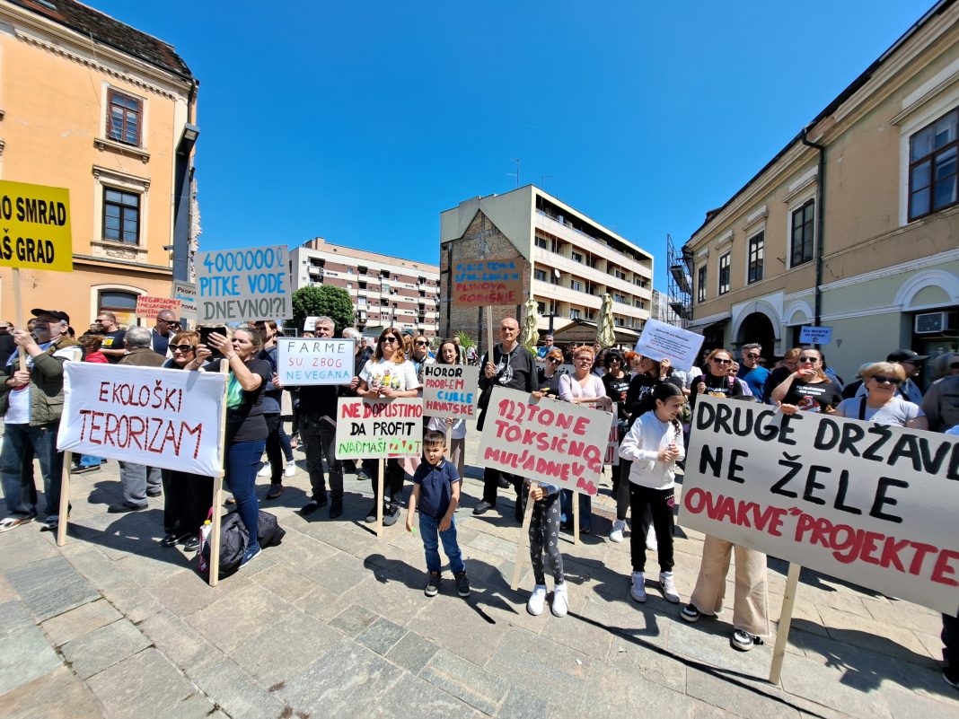 Gotovo 1000 ljudi na prosvjedu “‘Ne pilićarskoj eko-bombi” Gotovo 1000 ljudi na prosvjedu “‘Ne pilićarskoj eko-bombi”