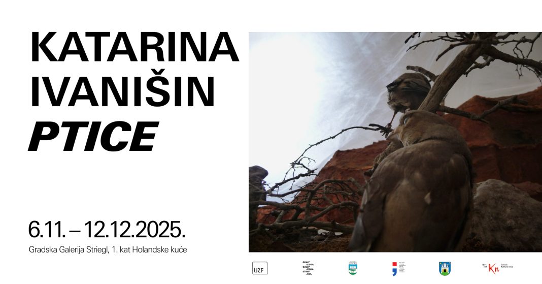 Izložba Katarine Ivanišin “Ptice” u Gradskoj galeriji Striegl Izložba Katarine Ivanišin “Ptice” u Gradskoj galeriji Striegl