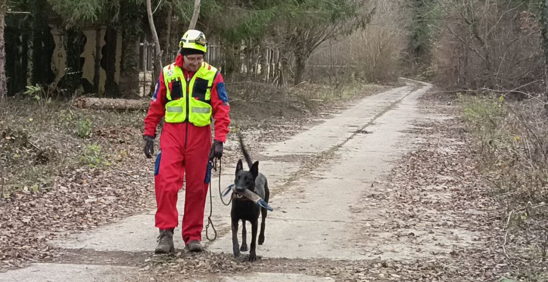 K9 potražni timovi HGSS-a trenirali u Sisačko-moslavačkoj županiji K9 potražni timovi HGSS-a trenirali u Sisačko-moslavačkoj županiji