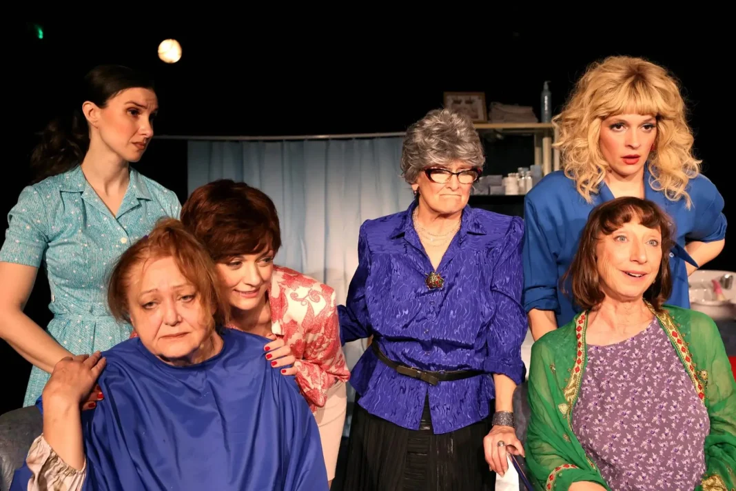 U Sisak stižu “Čelične magnolije” U Sisak stižu “Čelične magnolije”