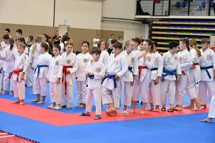 GALERIJA: Stotine mladih sportašica i sportaša ovog vikenda su bili u Sisku – održan rukometni festival i karate Sisak Cup GALERIJA: Stotine mladih sportašica i sportaša ovog vikenda su bili u Sisku – održan rukometni festival i karate Sisak Cup